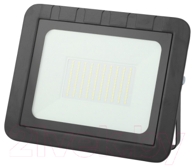 Прожектор ЭРА LPR-061-0-65K-100 / Б0043592 - фото