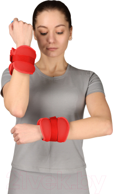 Комплект утяжелителей Indigo Sport Фитнес SM-402