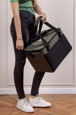 Термосумка Sled 40x30x30