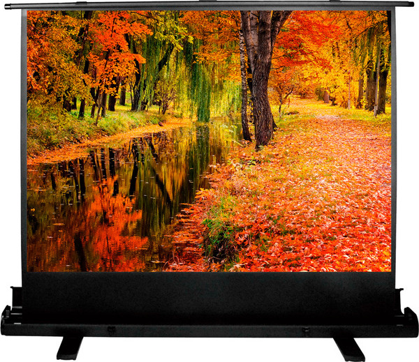Проекционный экран Cactus FloorExpert CS-PSFLE-200X150