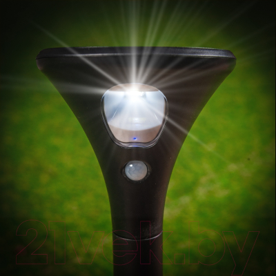 Светильник уличный Uniel Sensor UL-00009372 / USL-F-169/PT630