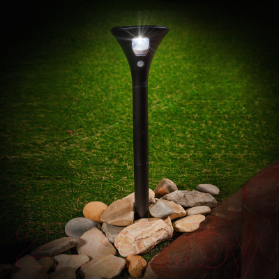 Светильник уличный Uniel Sensor UL-00009372 / USL-F-169/PT630