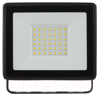 Прожектор ЭРА LPR-023-0-30K-050 / Б0052859 - фото