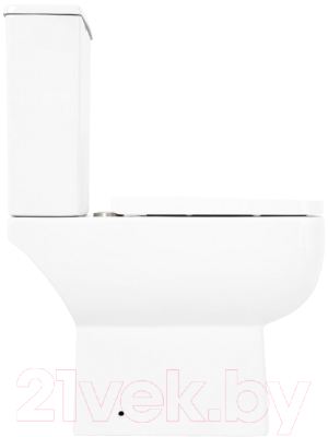 Чаша унитаза напольного BelBagno BB8604CPR/SC