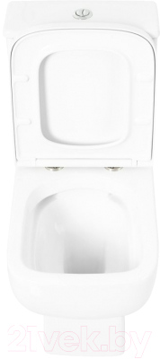 Чаша унитаза напольного BelBagno BB8604CPR/SC