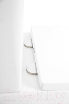 Чаша унитаза напольного BelBagno BB8604CPR/SC