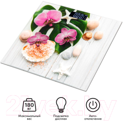 Напольные весы электронные Atlanta ATH-6143