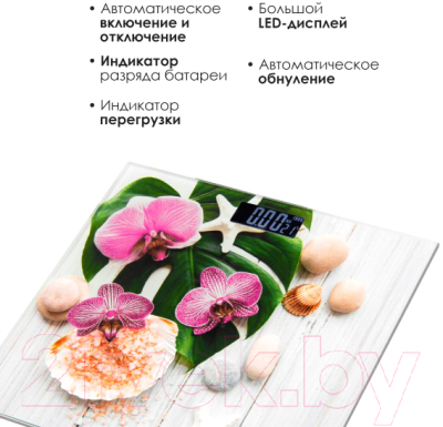 Напольные весы электронные Atlanta ATH-6143