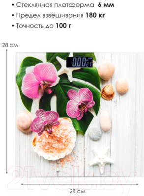 Напольные весы электронные Atlanta ATH-6143