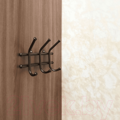 Вешалка для одежды ЗМИ Норма 3 / ВН 64