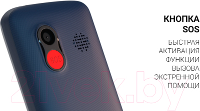 Мобильный телефон Maxvi B100ds