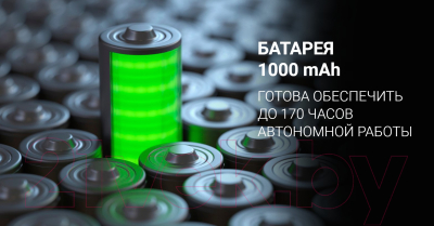 Мобильный телефон Maxvi B100ds