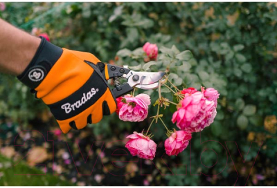 Секатор Bradas V-серии / KT-V1035