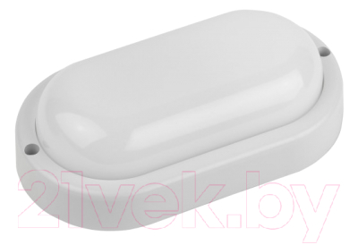 Светильник ЖКХ ЭРА SPB-202-0-40K-012 / Б0047621 - фото