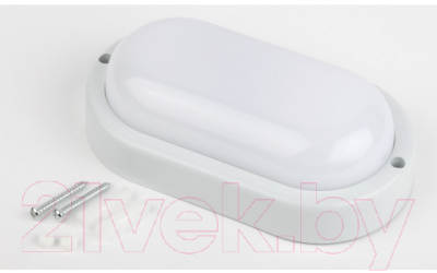 Светильник ЖКХ ЭРА SPB-202-0-40K-012 / Б0047621