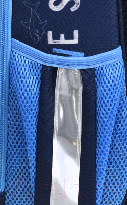 Школьный рюкзак Schoolformat Ergonomic 2 Catch The Waves РЮКЖК2-КВС