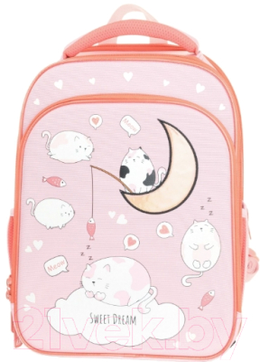 Школьный рюкзак Schoolformat 2А4К Cats In Clouds РЮКЖК2А4К-КИК - фото
