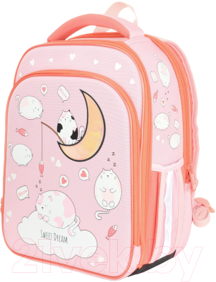 Школьный рюкзак Schoolformat 2А4К Cats In Clouds РЮКЖК2А4К-КИК