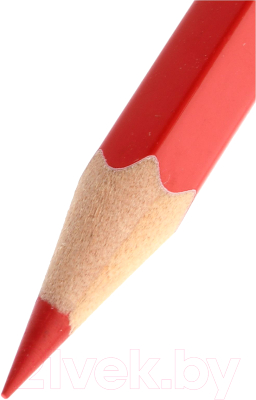 Набор цветных карандашей Creativiki КЦ24КР