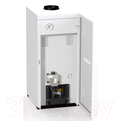 Газовый котел Лемакс Газовик АОГВ 29.1