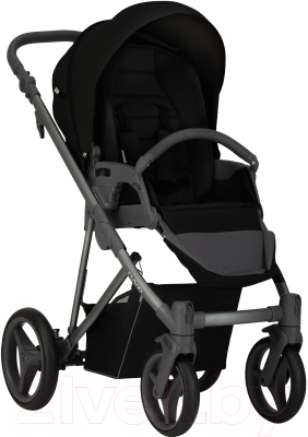 Детская универсальная коляска Bebetto Flavio 2 в 1 графитовая рама