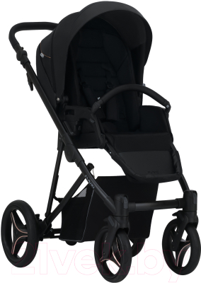 Детская универсальная коляска Bebetto Flavio Pro 2 в 1 черная рама