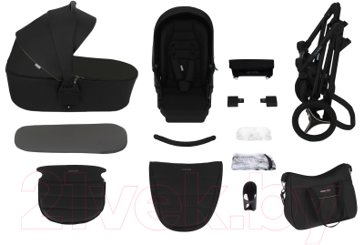 Детская универсальная коляска Bebetto Flavio Pro 2 в 1 черная рама