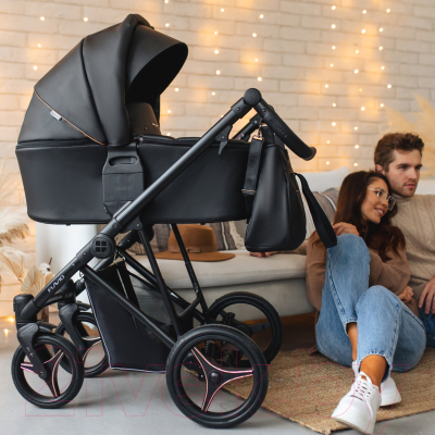 Детская универсальная коляска Bebetto Flavio Pro 2 в 1 черная рама