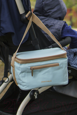 Термосумка Арктика 020-2500