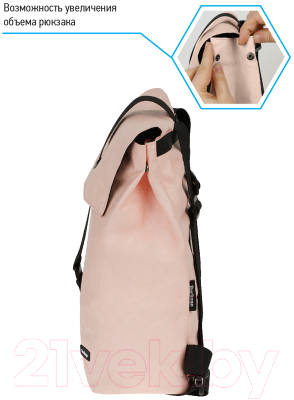 Школьный рюкзак Berlingo Trends Eco pink / RU08105