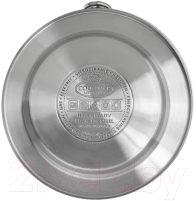 Чайник со свистком Coolinar 90650