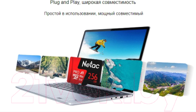 Карта памяти Netac MicroSDXC P500 Extreme Pro 512GB (NT02P500PRO-512G-S)
