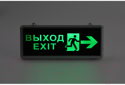 Светильник аварийный ЭРА SSA-101-3-20 / Б0044390