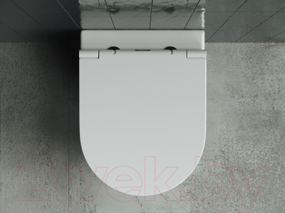 Унитаз подвесной Ceramica Nova Rimless CN3011 (с крепежом и сиденьем)