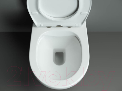 Унитаз подвесной Ceramica Nova Rimless CN8001 (с крепежом и сиденьем)