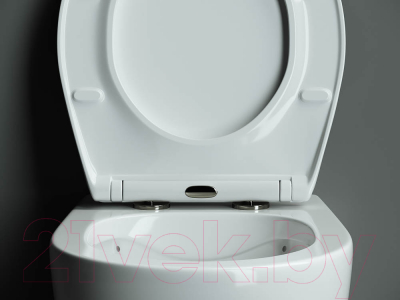 Унитаз подвесной Ceramica Nova Rimless CN8001 (с крепежом и сиденьем)