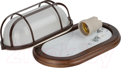 Бра уличное ЭРА НБО 04-60-022 / Б0048418