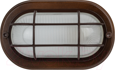 Бра уличное ЭРА НБО 04-60-022 / Б0048418