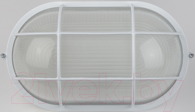 Бра уличное ЭРА НБП 04-100-002 / Б0048426