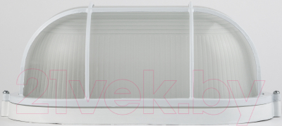 Бра уличное ЭРА НБП 04-100-002 / Б0048426