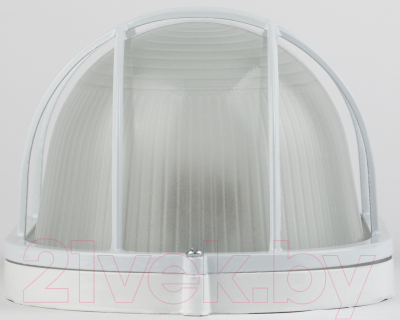 Бра уличное ЭРА НБП 04-100-002 / Б0048426