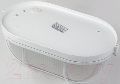 Бра уличное ЭРА НБП 04-100-002 / Б0048426