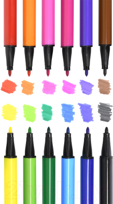 Фломастеры Schoolformat Дикая планета / ФЛ12-ДПЛ