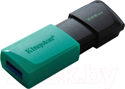 Usb flash накопитель Kingston Data Traveler Exodia M 256GB (DTXM/256GB)