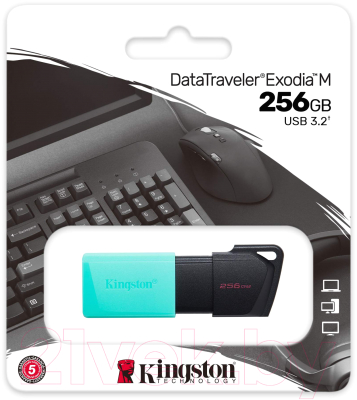 Usb flash накопитель Kingston Data Traveler Exodia M 256GB (DTXM/256GB)