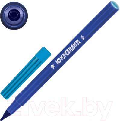 Набор маркеров Юнландия Юный Волшебник / 151891