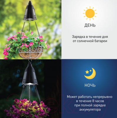 Светильник уличный ЭРА ERASF024-30 / Б0044237