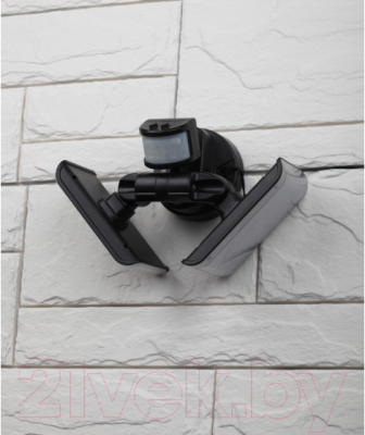 Светильник уличный ЭРА ERAFS020-42 / Б0044490