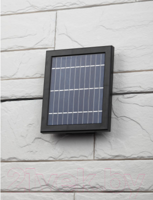 Светильник уличный ЭРА ERAFS020-42 / Б0044490