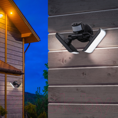 Светильник уличный ЭРА ERAFS020-42 / Б0044490